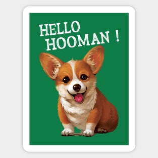 Hello Hooman Corgi Sticker